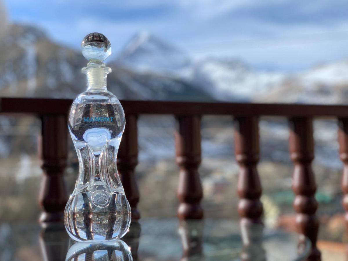 Come & Rest Kazbegi Exterior foto
